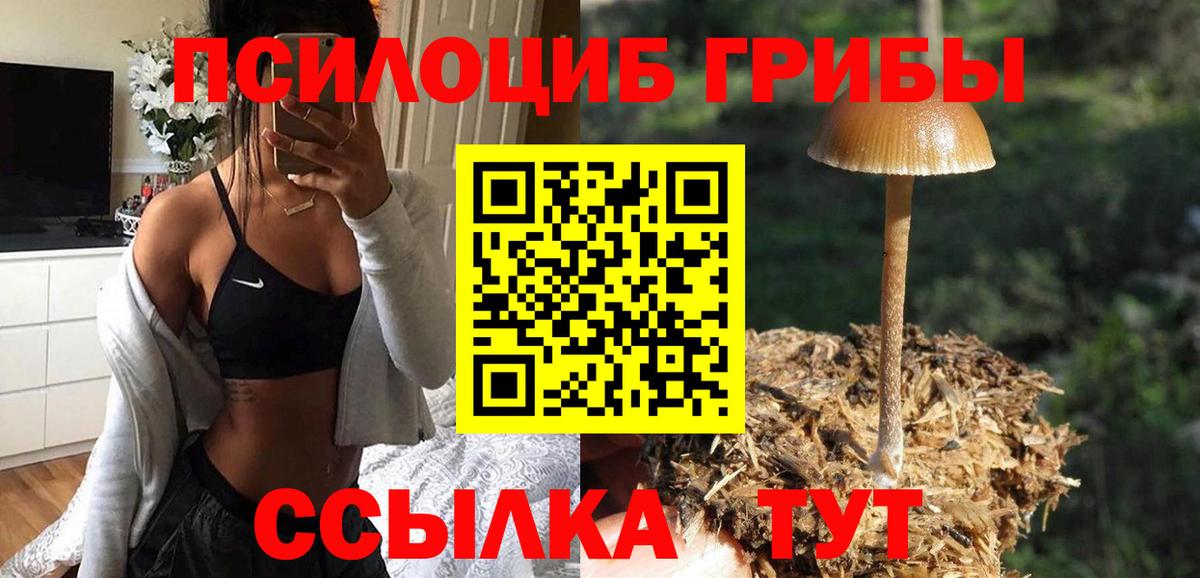 Псилоцибиновые грибы мицелий  Вход с VPN  Великие Луки  Галлюциногенные грибы GOLDEN TEACHER 
